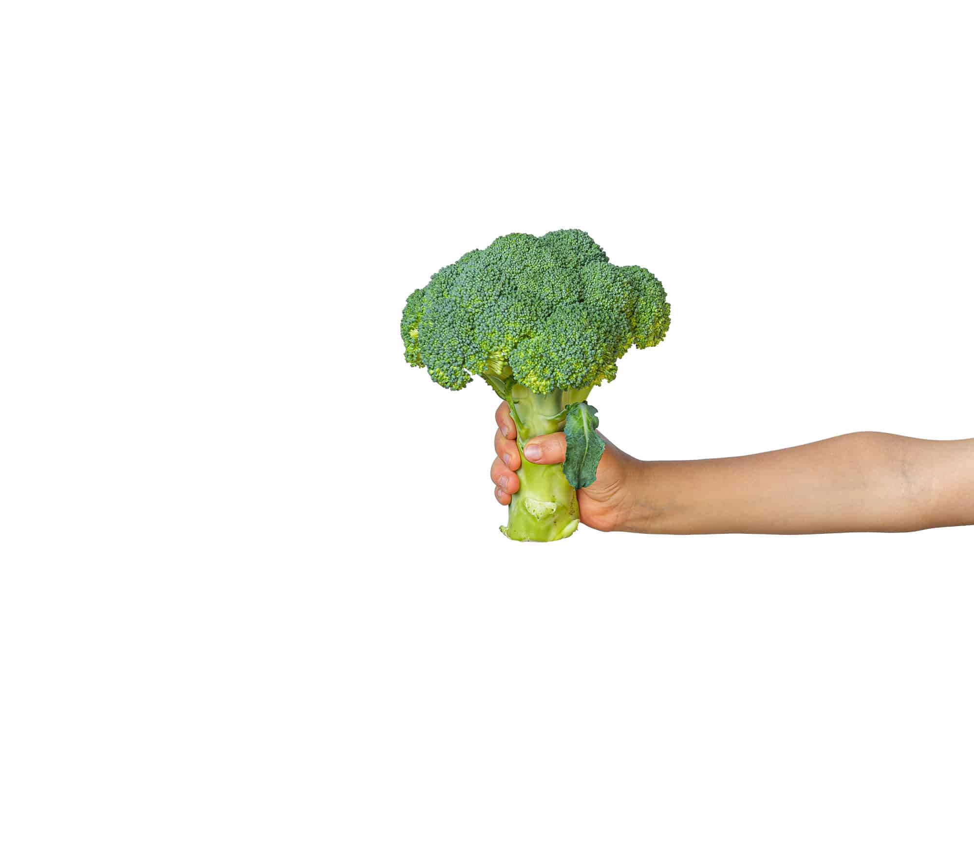 ernaehrungsberatung-winterthur-broccoli