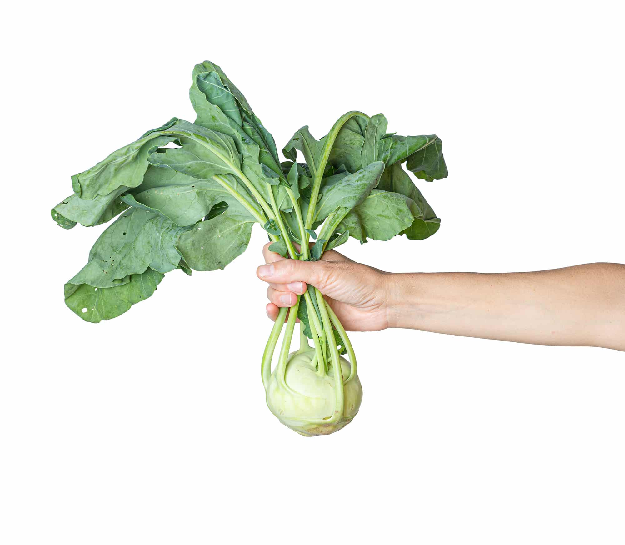 ernaehrungsberatung-winterthur-kohlrabi
